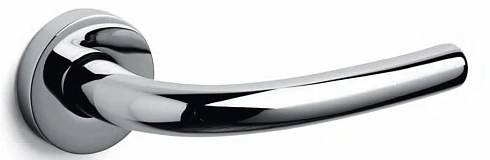 Tizianella F